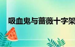 吸血鬼与蔷薇十字架漫画免费下拉六漫画