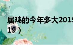属鸡的今年多大2019岁（属鸡的今年多大2019）