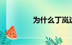 为什么丁岚这么恨李连杰