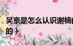 吴京是怎么认识谢楠的（吴京和谢楠怎么认识的）