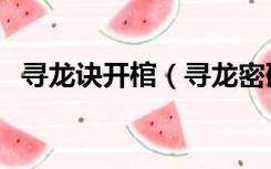 寻龙诀开棺（寻龙密码之真假棺椁完整版）