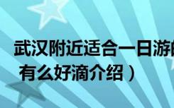 武汉附近适合一日游的地方（武汉周边一日游 有么好滴介绍）