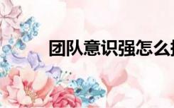 团队意识强怎么描述（团队意识）