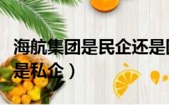 海航集团是民企还是国企（海航集团是国企还是私企）