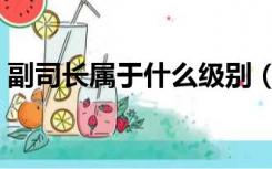 副司长属于什么级别（司长是什么行政级别）