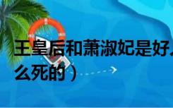 王皇后和萧淑妃是好人吗（王皇后和萧淑妃怎么死的）