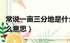 常说一亩三分地是什么意思（一亩三分地是什么意思）