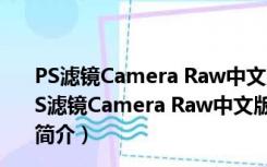 PS滤镜Camera Raw中文版 V14.2.0.1028 汉化免费版（PS滤镜Camera Raw中文版 V14.2.0.1028 汉化免费版功能简介）