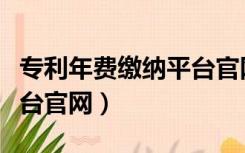 专利年费缴纳平台官网查询（专利年费缴纳平台官网）