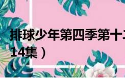 排球少年第四季第十二集（排球少年第四季第14集）