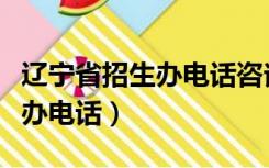 辽宁省招生办电话咨询工作时间（辽宁省招生办电话）