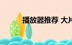 播放器推荐 大片（播放器大片）
