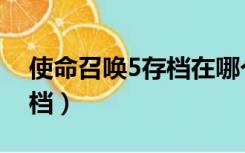 使命召唤5存档在哪个文件夹（使命召唤5存档）