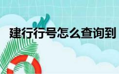 建行行号怎么查询到（建行行号查询系统）