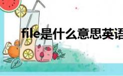 file是什么意思英语（file是什么意思）