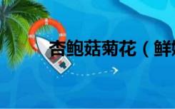 杏鲍菇菊花（鲜嫩的菊花和鲍鱼）