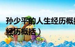 孙少平的人生经历概括五十字（孙少平的人生经历概括）