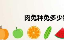 肉兔种兔多少钱一只（肉兔）