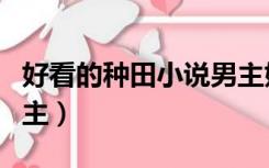 好看的种田小说男主姓叶（好看的种田小说男主）