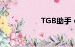 TGB助手（tga助手）