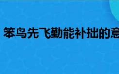 笨鸟先飞勤能补拙的意思（勤能补拙的意思）