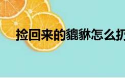捡回来的貔貅怎么扔（捡到貔貅怎么办）
