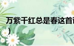 万紫千红总是春这首诗（万紫千红总是春全诗）