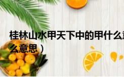 桂林山水甲天下中的甲什么意思（桂林山水甲天下的甲是什么意思）