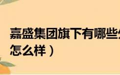 嘉盛集团旗下有哪些外汇平台（嘉盛外汇官网怎么样）