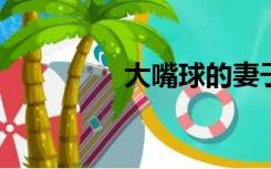 大嘴球的妻子堵嘴的照片