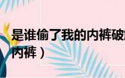 是谁偷了我的内裤破解版exo（是谁偷了我的内裤）