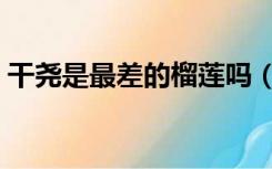 干尧是最差的榴莲吗（干尧榴莲为什么便宜）