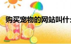 购买宠物的网站叫什么（购买宠物的网站）