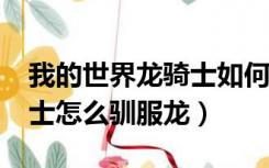 我的世界龙骑士如何驯服龙?（我的世界龙骑士怎么驯服龙）