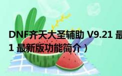 DNF齐天大圣辅助 V9.21 最新版（DNF齐天大圣辅助 V9.21 最新版功能简介）