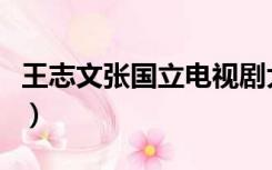 王志文张国立电视剧大全（张国立电视剧大全）