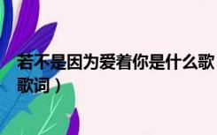 若不是因为爱着你是什么歌（若不是因为爱着你是哪首歌的歌词）