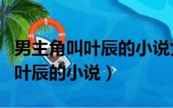 男主角叫叶辰的小说女主角叫孙怡（男主角叫叶辰的小说）