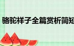 骆驼祥子全篇赏析简短（骆驼祥子全篇赏析）