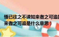 悟已往之不谏知来者之可追的下一句意思（悟已往之不谏 知来者之可追是什么意思）