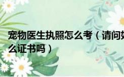 宠物医生执照怎么考（请问如何成为一名宠物医生 需要考什么证书吗）