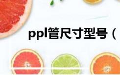 ppl管尺寸型号（pp管规格尺寸表）