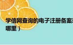 学信网查询的电子注册备案表在哪里（学信网注册备案表在哪里）