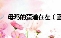 母鸡的蛋道在左（正确进入母鸡的蛋道）