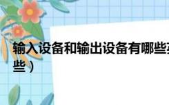 输入设备和输出设备有哪些英文（输入设备和输出设备有哪些）