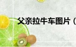 父亲拉牛车图片（父亲是拉车的牛）