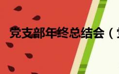 党支部年终总结会（党总支年终工作总结）