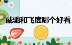 威驰和飞度哪个好看（威驰和飞度哪个好）