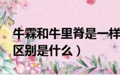 牛霖和牛里脊是一样的吗?（牛霖和牛里脊的区别是什么）