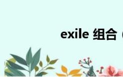 exile 组合（exid组合）